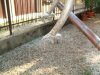 DSCF1151.jpg