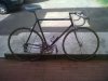IMG00203-20120620-0854.jpg