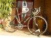 de rosa 010.JPG