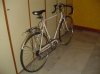 DSC01658.jpg