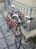 bici 1 rid.jpg