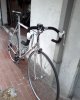 SP_A0058.jpg