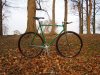 conti_woods_01.jpg