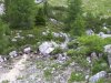 100_1428.jpg