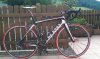 DE ROSA.jpg