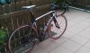 DE ROSA 2.jpg