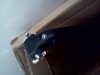 uploadfromtaptalk1344001697120.jpg