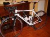 tn_S8000020.JPG