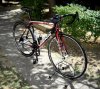 Bianchi sempre _ 2.jpg