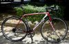 Bianchi sempre _ 1.jpg