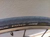 IMG_4581.jpg