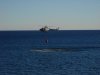 DSCN0689.jpg