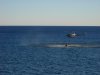DSCN0690.jpg