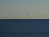 DSCN0702.jpg