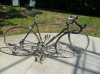 olmo 1 003.jpg