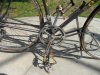 olmo 1 005 guarnitura.jpg