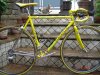 pinarello radius 001.jpg
