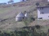 LGIM0174.jpg LGIM0174.jpg