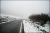 primaneve 040 [1600x1200].jpg