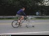 carrello-bici.jpg