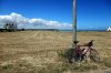 Trek_bretagna_2011.jpg