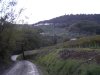 1 Novembre 078.jpg