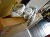 DSCN0831.jpg