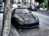 3067456637_44ecab8b9a.jpg