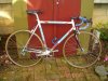 carrera pegasus.jpg