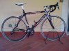 IMG-20121125-00025.jpg