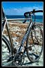Bianchi-EV-XL-Mega-Pro.jpg