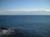 DSCN0001.jpg