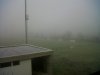 IMG00205-20121219-0914.jpg