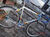 colnago master olympic art decor 011.jpg