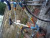 colnago master olympic art decor 012.jpg