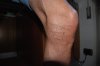 DSC_6469.jpg