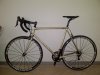 IMG-20130110-00148.jpg