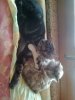 Foto0303.jpg