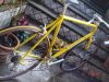 casati genius 98 007.jpg