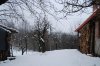 neve2013 007 [1600x1200].jpg