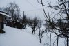 neve2013 005 [1600x1200].jpg