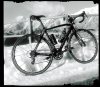 SnowySpecy (b.w).jpg