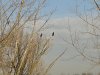 20130209_103200.jpg