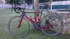 IMAG0016.jpg