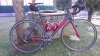 IMAG0017.jpg