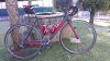 IMAG0029.jpg
