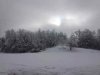 ImageUploadedByTapatalk1360672460.675617.jpg ImageUploadedByTapatalk1360672460.675617.jpg