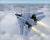 F-14B_02.jpg