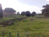 paestum.jpg