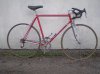 immagini 003.jpg
